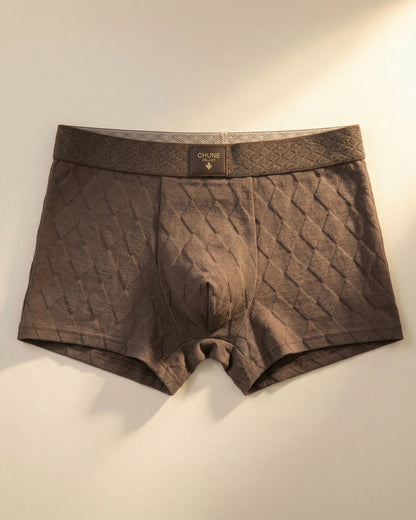 Ashford Cotton Boxer Brief