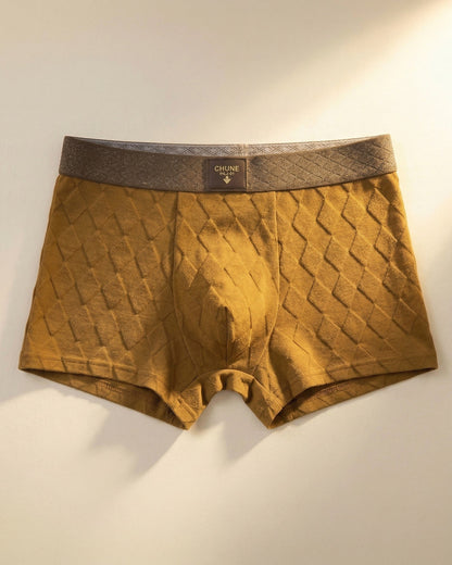 Ashford Cotton Boxer Brief